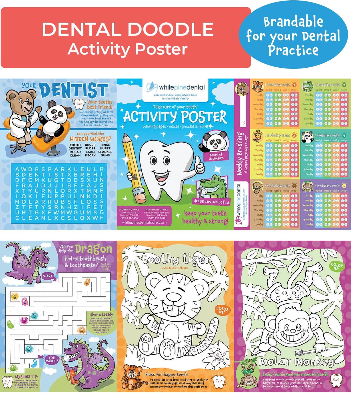 Activity Posters